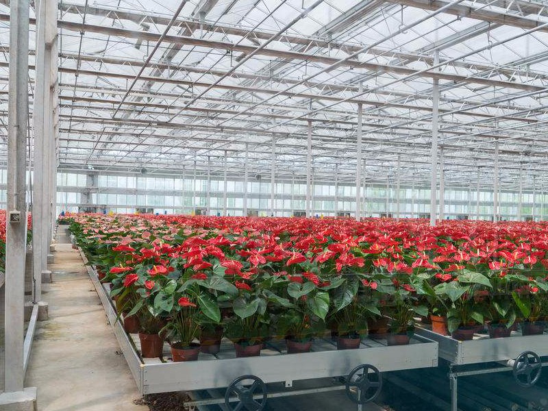 智能農(nóng)業(yè)大棚