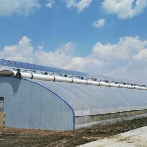光伏溫室大棚