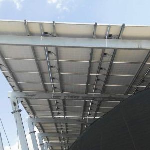 光伏溫室讓一切融入自然