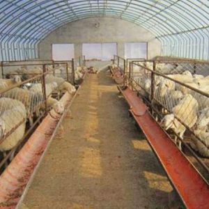 溫室養(yǎng)殖大棚