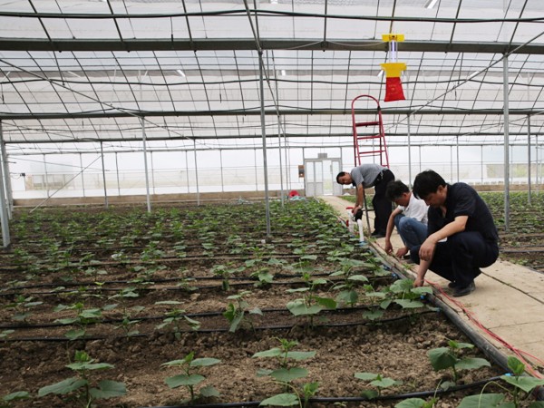 溫室水肥一體化