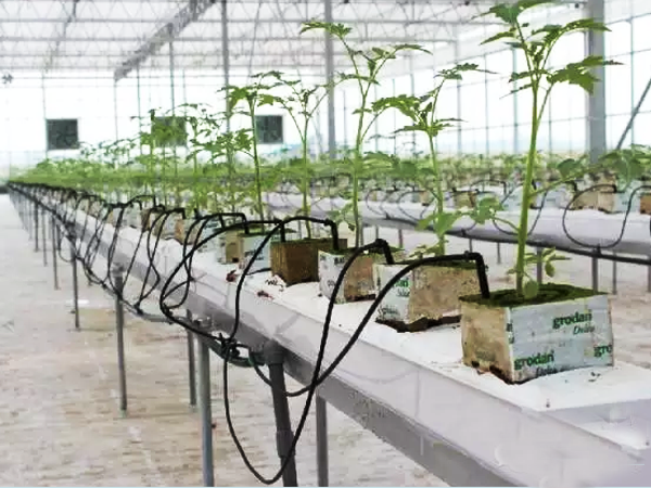 溫室水肥一體化