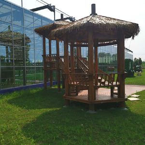 工程案例—湖北荊州科普園交付運(yùn)營